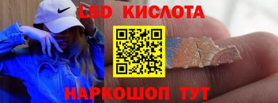 прущие грибы Краснодар
