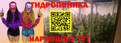 прущие грибы Краснодар