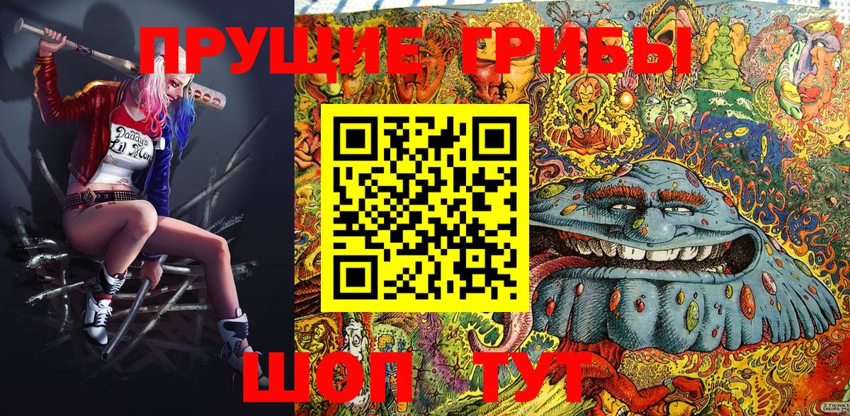 магазин    Галлюциногенные грибы Cubensis  Вход с VPN  Казань 